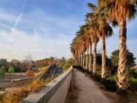 Parque Central Is Valencia’s Secret Green Spot