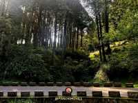 Alishan