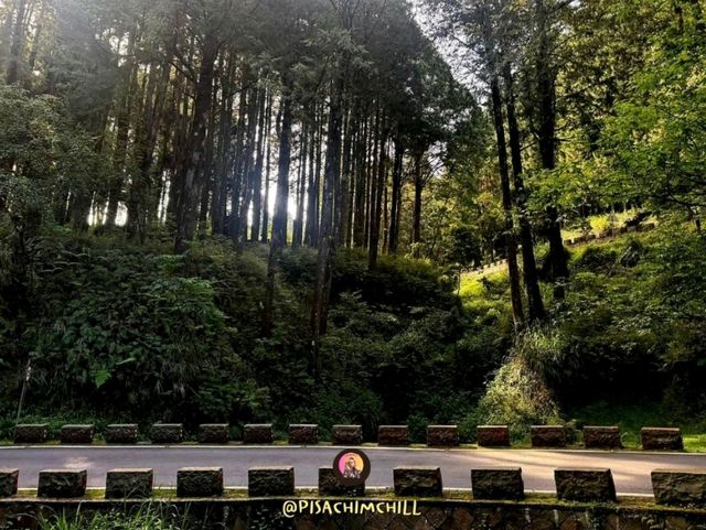 Alishan