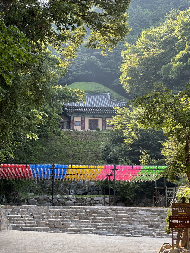 여름 경주 여행코스🌿