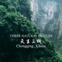 three Natural Bridges 