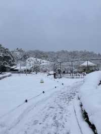 Winter magic in Ine no Funaya (伊根の舟屋), Kyoto ❄️🏘️ A peaceful snow-covered fishing village where tra
