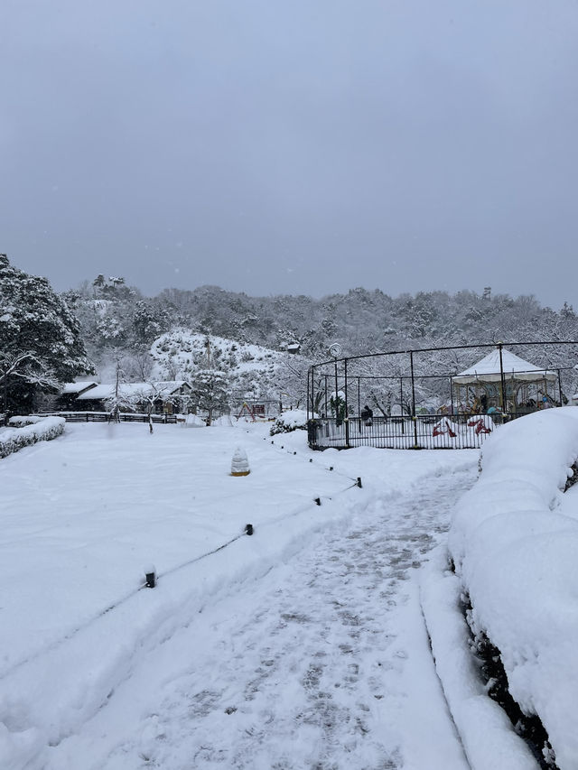 Winter magic in Ine no Funaya (伊根の舟屋), Kyoto ❄️🏘️ A peaceful snow-covered fishing village where tra
