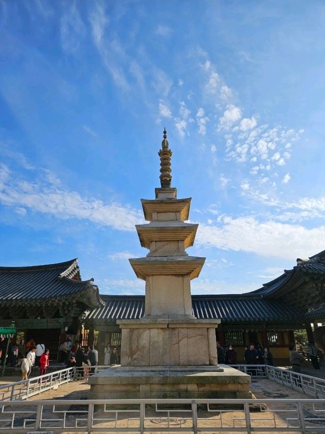 여름 여행을 경주로 가야하는 이유, 꽃과 함께