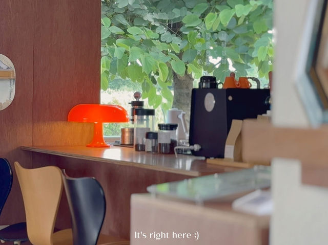 🐾 URGE Café Chiang Rai 😻