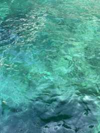 PhiPhi Island สวรรค์ของคนรักทะเล 🏝️