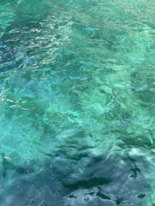 PhiPhi Island สวรรค์ของคนรักทะเล 🏝️