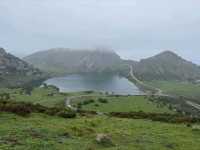 Clouds, Cows & Crazy Views at Lagos de Covadonga