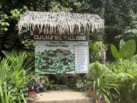 Echoes of Sabah: My Journey Through Mari Mari