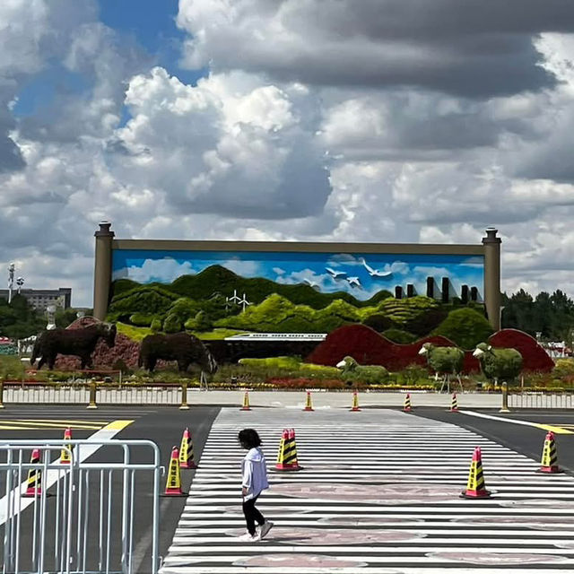 ♟️ Giant Mongol Chess in the Heart of Kangbashi! 