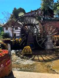 Lijiang Old Town – A Charming Slice of Old China