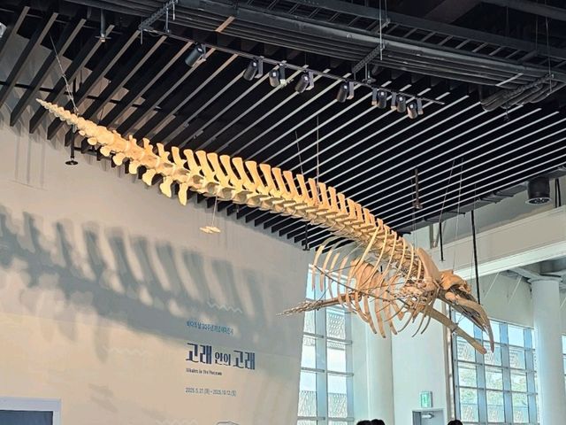 인천 국립 해양박물관 꿀팁