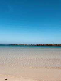 A Photographer's Dream: Colors and Textures of Paradise