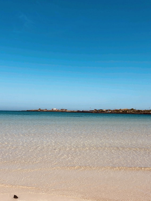 A Photographer's Dream: Colors and Textures of Paradise
