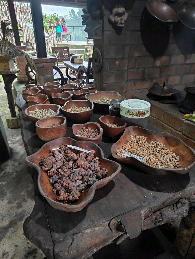 ☕ From Civet to Cup: The Luwak Coffee Journey Unfolds