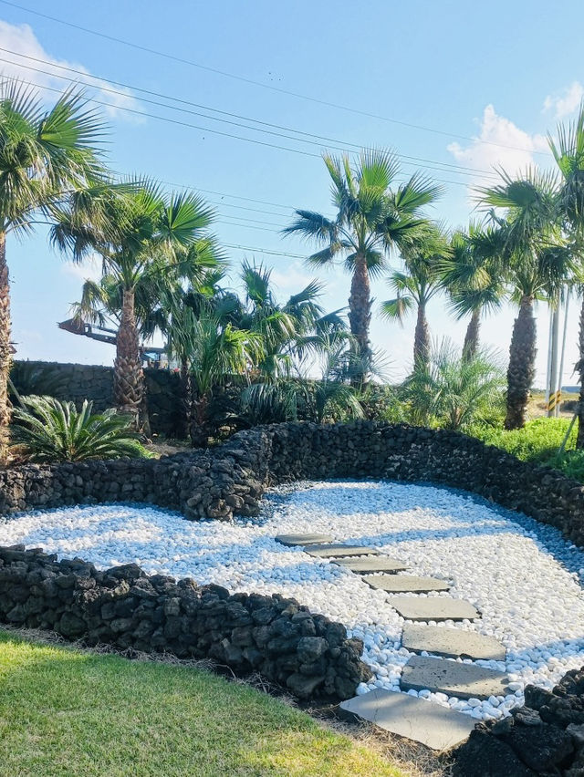 Discovering Jeju's Unique Island Flora in a Tranquil Setting