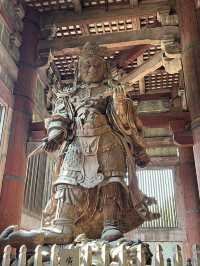 Magic, Streets & Shrines: From Osaka to Kyoto via Nara
