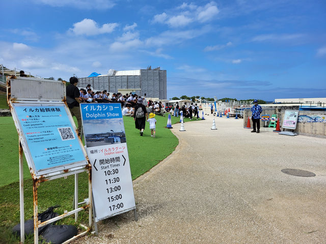 黑潮水槽震撼人心的海洋體驗/沖繩美麗海水族館