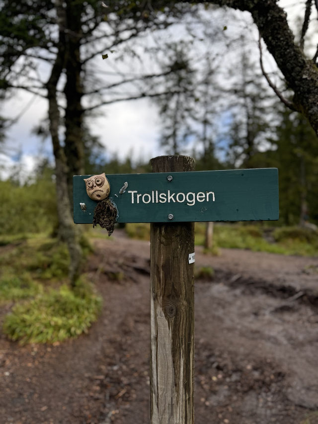 플뢰엔산 전망대 (Mount Fløyen / Fløyfjellet)