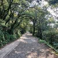 Discover Tranquility on the Erziping Trail