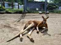 Akita City Omoriyama Zoo or Milve