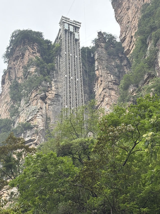 【🇨🇳張家界】大人気観光地”張家界”を最適ルートで巡る裏技！