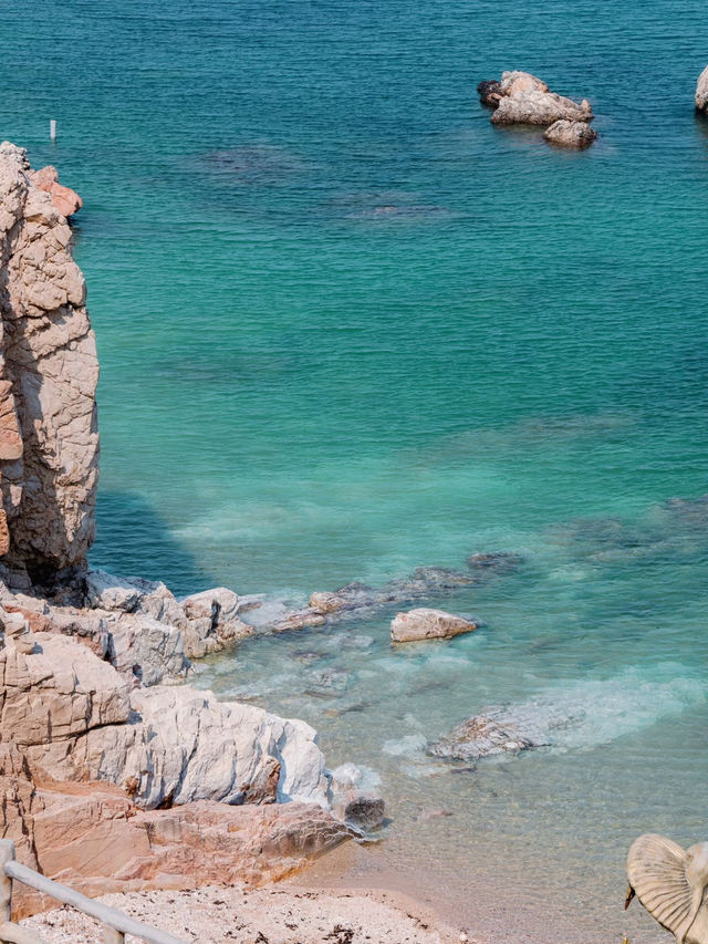Healed by the Sea – Yantai Yangma Island’s Endless Blue 🌊
