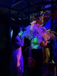 【愛知観光】˗ˏˋ 7年ぶりの名古屋開催❗️幻想の金魚アート🏺ˎˊ˗