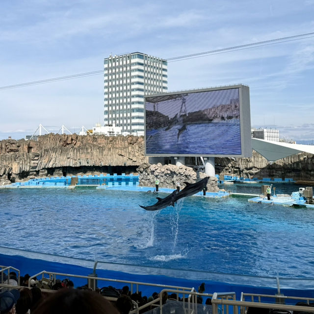 名古屋港水族館：海洋奇觀之旅 🐬