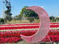 Zhongshe Flower Market Taiwan: Fields of Colorful Dreams