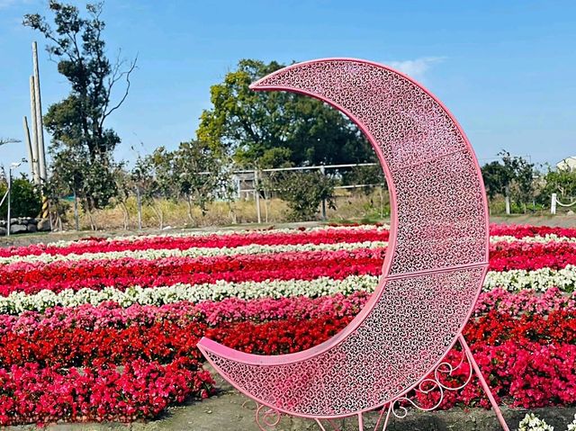 Zhongshe Flower Market Taiwan: Fields of Colorful Dreams