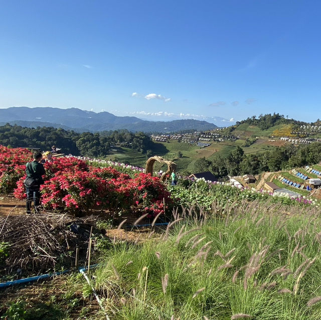 🌤️ เดินชิลบน Skywalk ม่อนแจ่ม ชมวิวสุดปังแบบ 360° 🌤️ เดินชิลบน Skywalk ม่อนแจ่ม ชมวิวสุดปังแบบ 360°