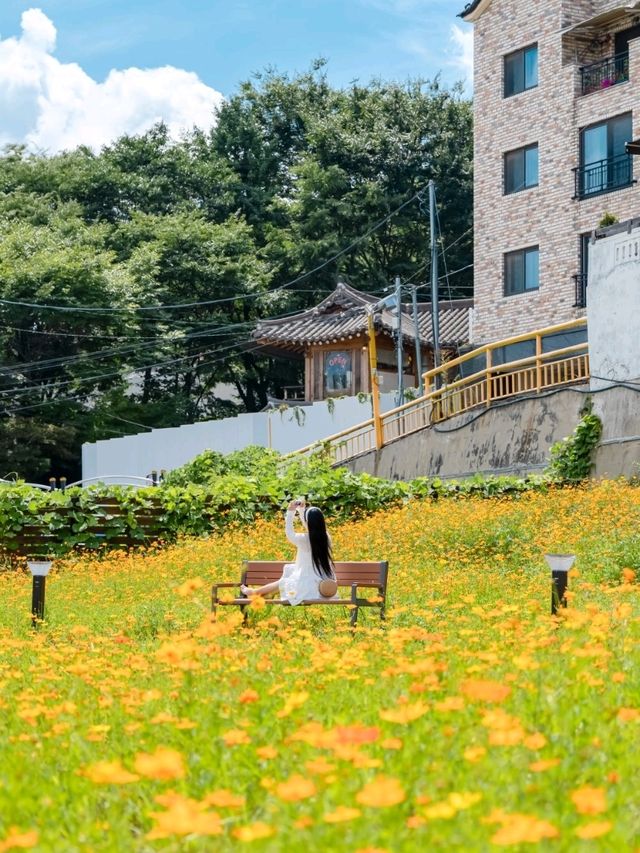 현시각, 수원에서 가장 예쁜 하남지터🧡