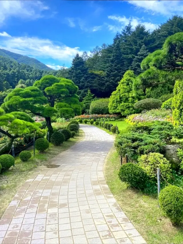 아침고요수목원에서의 꽃들