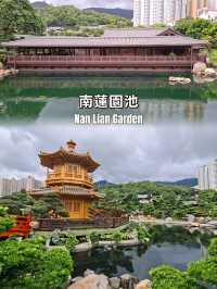 南蓮園池|鬧市中的中式庭園🌳|親子散步好去處🌟
