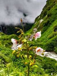 Annapurna Conservation Area – Nepal’s Crown Jewel of Adventure