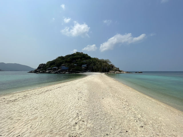 ดำน้ำเกาะเต่า เกาะนางยวน สวรรค์ของทะเลอ่าวไทย ดำน้ำเกาะเต่า เกาะนางยวน สวรรค์ของทะเลอ่าวไทย