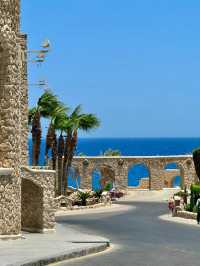 🩵 Red Sea coast is too beautiful!! Egypt 🇪🇬