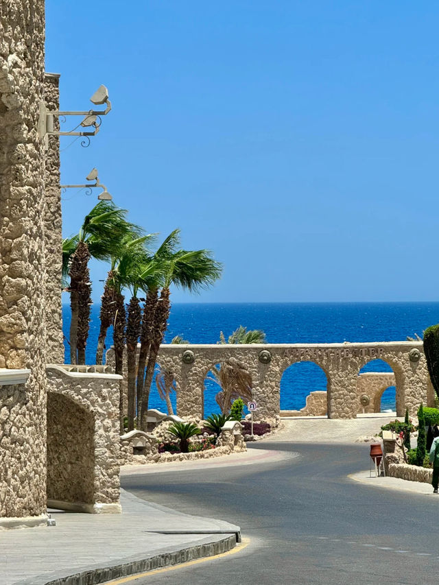 🩵 Red Sea coast is too beautiful!! Egypt 🇪🇬