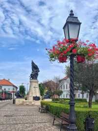  Baroque Beauty on the Danube: My Solo Day Trip to Vác, Hungary