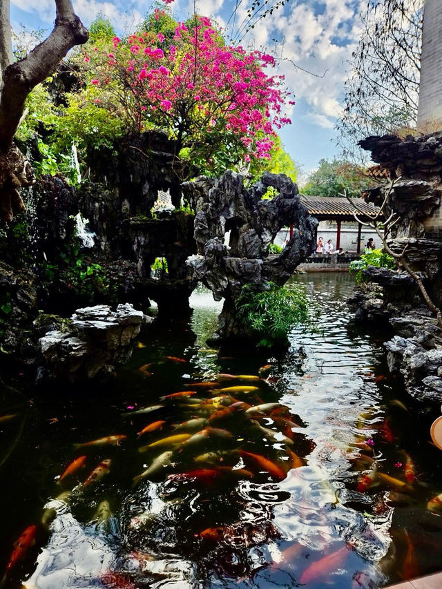 🌸칭후이 가든🌸 🌸칭후이 가든🌸