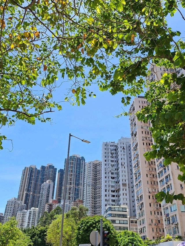 🇭🇰 พาเที่ยวเมืองริมทะเลสุดเก๋ Kennedy Town 🇭🇰 พาเที่ยวเมืองริมทะเลสุดเก๋ Kennedy Town