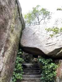 宮島:欣賞巖島神社之餘,也千萬不可錯過的牡蠣宴!