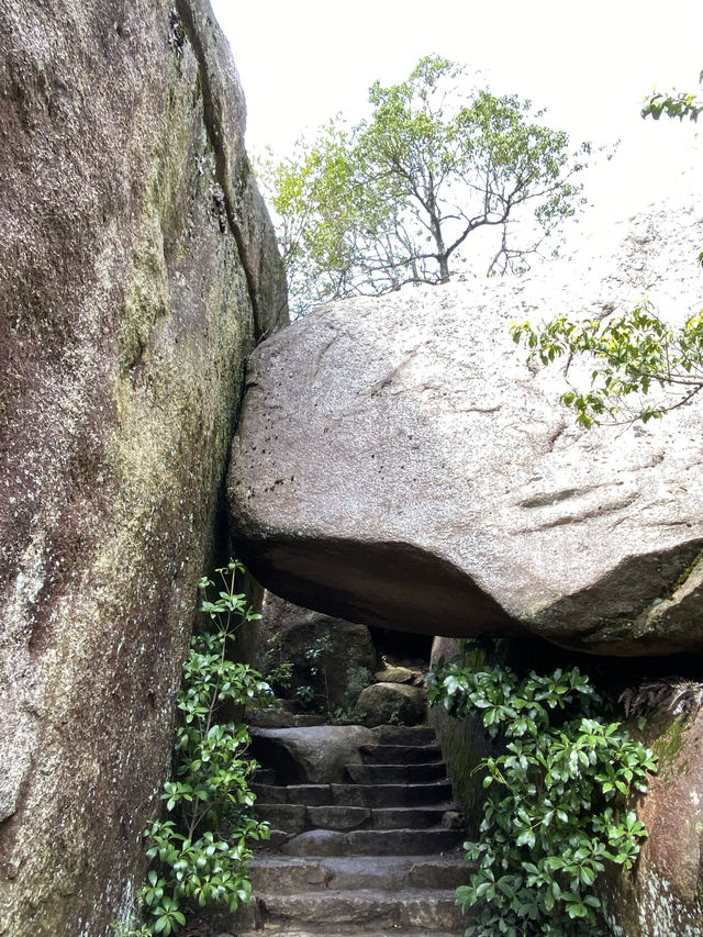 宮島:欣賞巖島神社之餘,也千萬不可錯過的牡蠣宴! 宮島:欣賞巖島神社之餘,也千萬不可錯過的牡蠣宴!