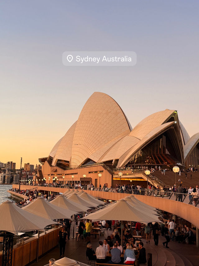 🦘 シドニーおすすめスポットまとめ ✈️🇦🇺