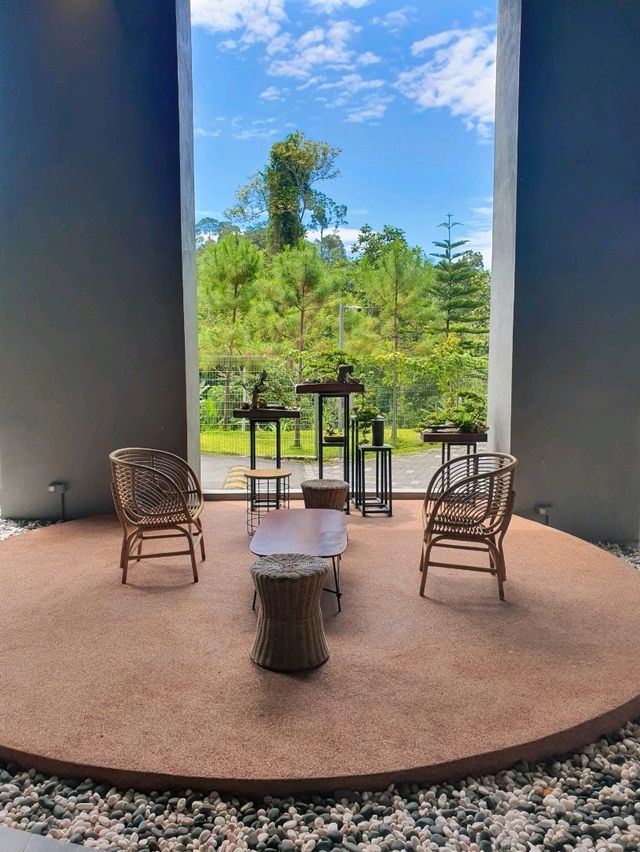 The Enclave Stay 🌿