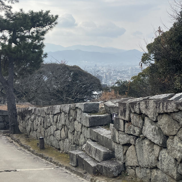 【愛媛/松山🇯🇵】17世紀のお城の復元🏯松山城