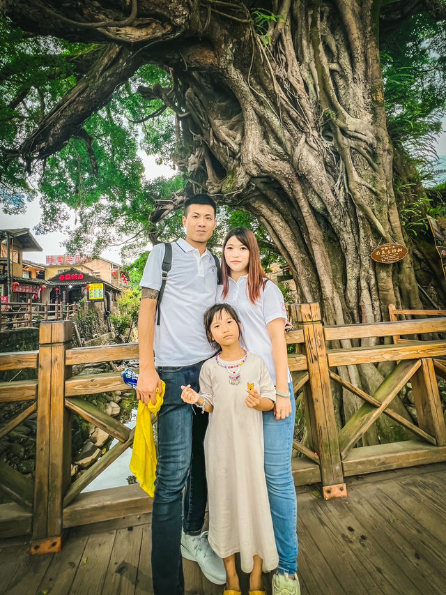 🌿探訪雲水謠古鎮｜古榕守護·情人橋畔·土樓記憶