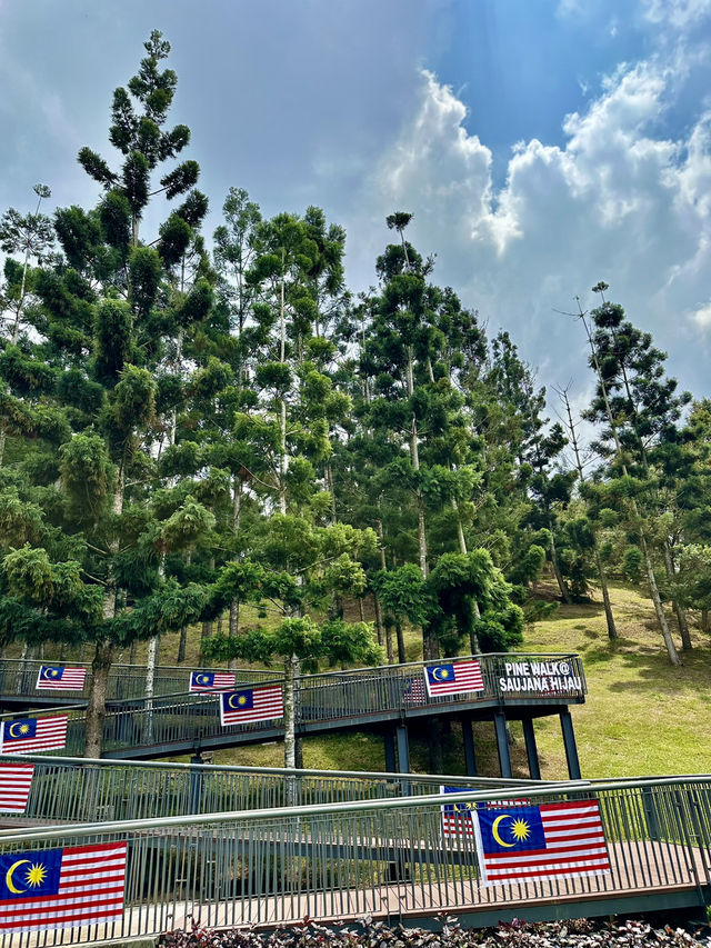 🌲 Taman Saujana Hijau – A Green Escape for Walks, Jogs & Fresh Air 🌿 🌲 Taman Saujana Hijau – A Green Escape for Walks, Jogs & Fresh Air 🌿