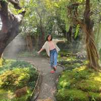 ชมคาเฟ่ - Chom Cafe & Restaurant Chiangmai🌿